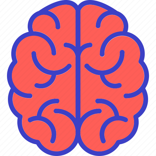 Brain, genius, intelligence, mind icon - Download on Iconfinder