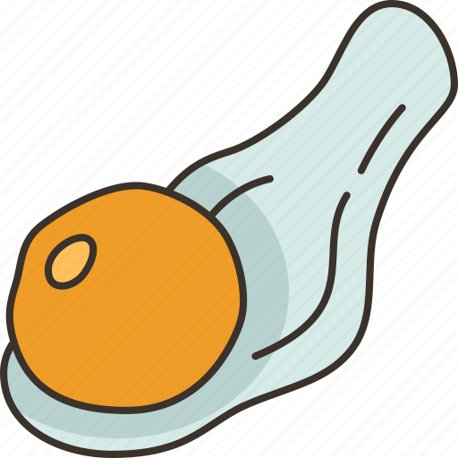 Egg, raw, ingredient, cooking, protein icon - Download on Iconfinder