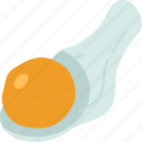egg, raw, ingredient, cooking, protein