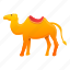 camel, egypt, summer, tribal 