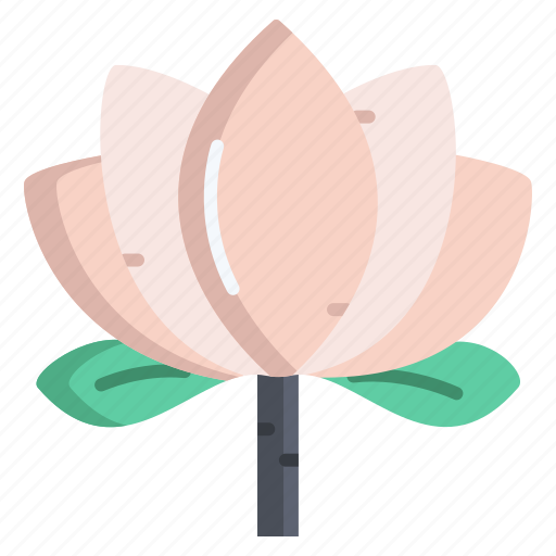 Lotus icon - Download on Iconfinder on Iconfinder