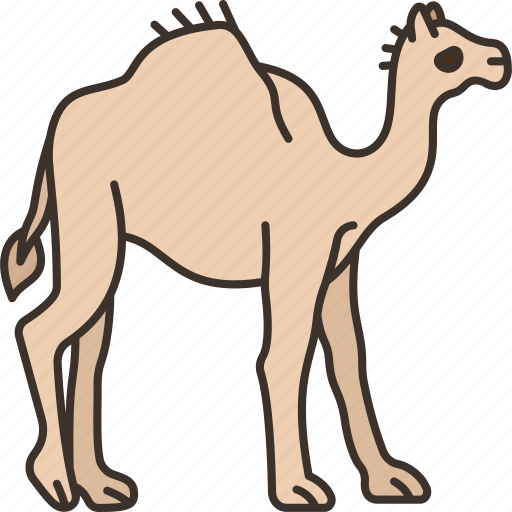 Camel, animal, desert, mammal, ride icon - Download on Iconfinder