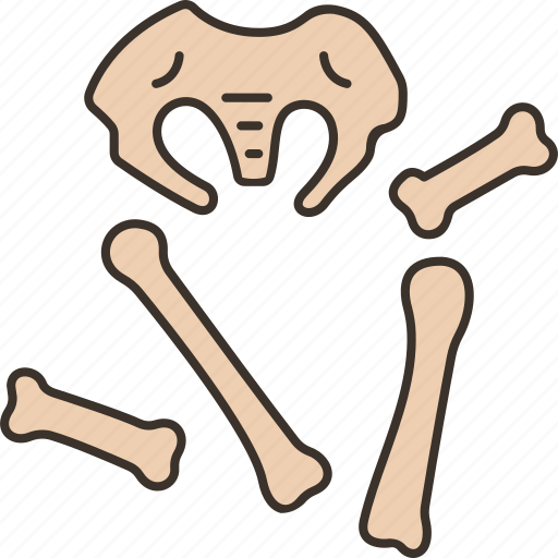 Skeleton, bone, burial, human, fossil icon - Download on Iconfinder