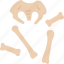 skeleton, bone, burial, human, fossil 