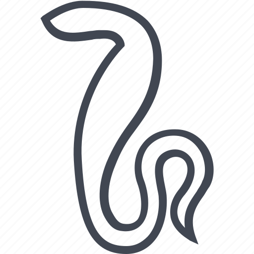 Cobra, egyptian, evil, hieroglyphs, snake icon - Download on Iconfinder