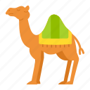 camel, animal, desert, fauna, hump, egypt, eid al fitr, eid mubarak, ramadan