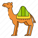camel, egypt, animal, ramadan, desert, hump, eid al fitr, eid mubarak, islam