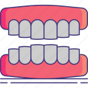 dentures, teeth, mouth, dental