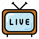 tv live, live report, television, entertainment