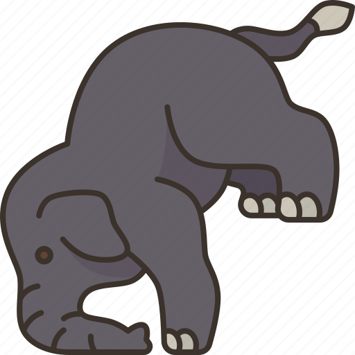 Elephant, show, animals, wildlife, nature icon - Download on Iconfinder