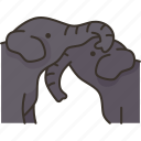 touching, trunks, elephant, wildlife, nature