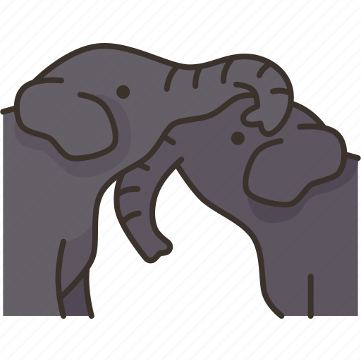 Touching, trunks, elephant, wildlife, nature icon - Download on Iconfinder