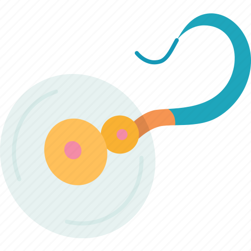 Fertilization, sperm, egg, cell, reproduction icon - Download on Iconfinder