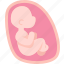 fetus, womb, baby, embryo, childbirth 