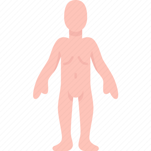 Human, body, anatomy, man, adult icon - Download on Iconfinder