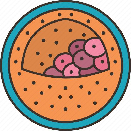 Blastocyst, cells, embryo, fertilization, reproduction icon - Download on Iconfinder
