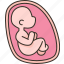 fetus, womb, baby, embryo, childbirth 