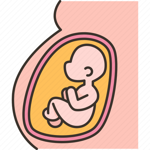 Pregnancy, embryo, fetus, development, childbirth icon - Download on Iconfinder