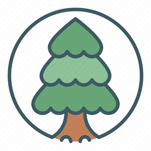 Christmas, circle, conifer, forest, tree, wood icon - Download on Iconfinder