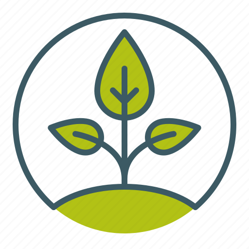 Ecology, growth, natural, plant, seed, sprout, sustainable icon - Download on Iconfinder