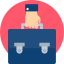 businessman bag, briefcase, office bag, document bag, bag 
