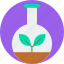 plant flask, experiment, flask, glass, laboratory, plant, research 
