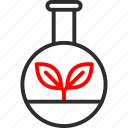 plant flask, experiment, flask, glass, laboratory, plant, research\