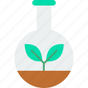 plant flask, experiment, flask, glass, laboratory, plant, research