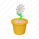 flower pot, plant, seeding, yumminky, garden, cactus, flower 