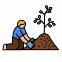 plant, tree, man, volunteer, conserve