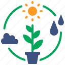 photosynthesis, climate, season, carbon emissions reduction, ecology and environment, carbon cycle