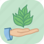 environment, hold, seedling, ecology, green, leaf, nature 