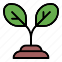 sprout, leaf, nature, plant, green, growth, eco