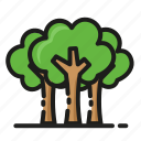tree, nature, ecology, green, forest, plant, environment