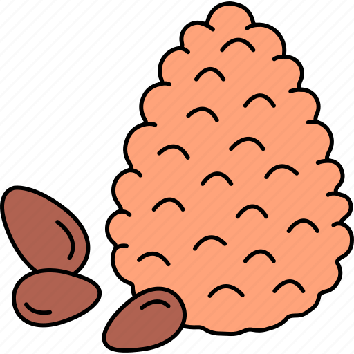 Cedar, nut, seeds icon - Download on Iconfinder