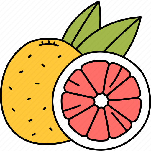 Grapefruit, fruit, citrus, aromatic icon - Download on Iconfinder