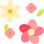 flower, sakura, festival, spring, celebrate, celebration 