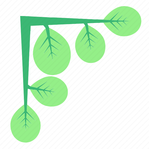 Green, leaf, leaves, nature, plants icon - Download on Iconfinder