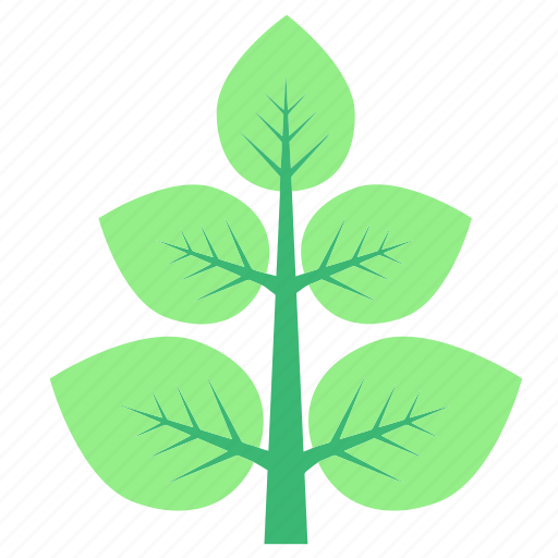 Green, leaf, leaves, nature, plants icon - Download on Iconfinder
