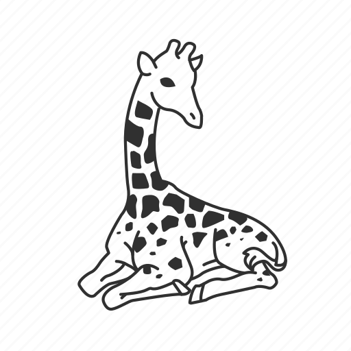 Giraffe, large land mammal, long neck, mammal icon - Download on Iconfinder