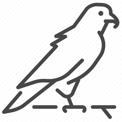 Exotic, pet, animal, bird, hawk, falcon, eagle icon - Download on Iconfinder