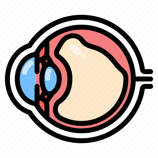 Eye, floaters, vitreous, detachment, vision icon - Download on Iconfinder