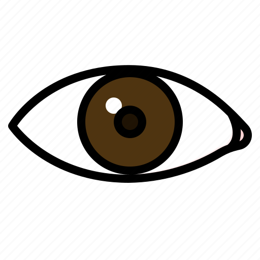 Eye, vision, biometrics, ophthalmology, watch, lens, pupils icon - Download on Iconfinder