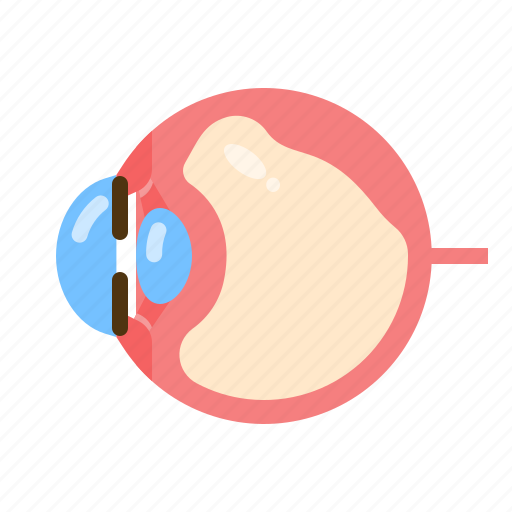 Eye, floaters, vitreous, detachment, vision icon - Download on Iconfinder