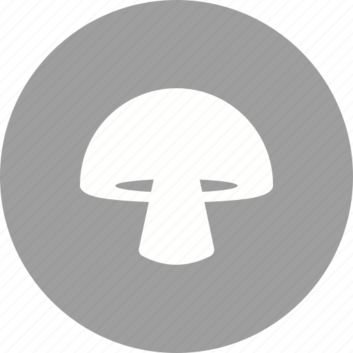Food, gourmet, healthy, mushroom, organic, oyster icon - Download on Iconfinder