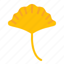 fall, ginko, leaf, nature, thanksgiving, tree
