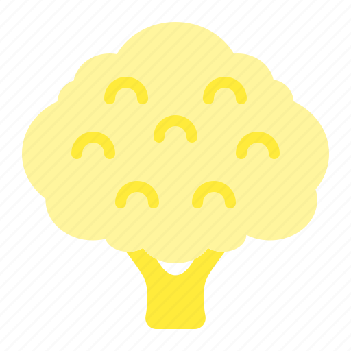 Cauliflower, fall, green, harvest, tree, vegetable icon - Download on Iconfinder