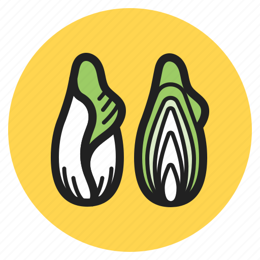 Fruits, chicories, lettuce, leaf, fall, vegetables icon - Download on Iconfinder