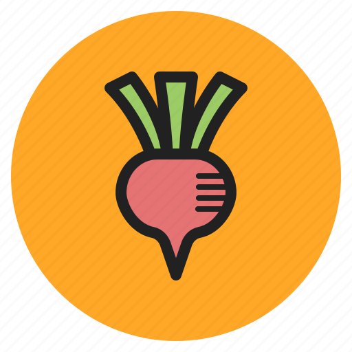 Fruits, chioggia, roots, beets, fall, vegetables icon - Download on Iconfinder
