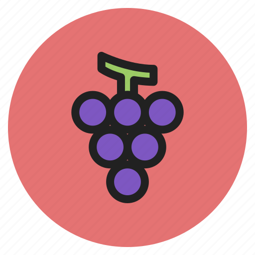 Grapes, fruits, wine, berry, fall, vegetables icon - Download on Iconfinder